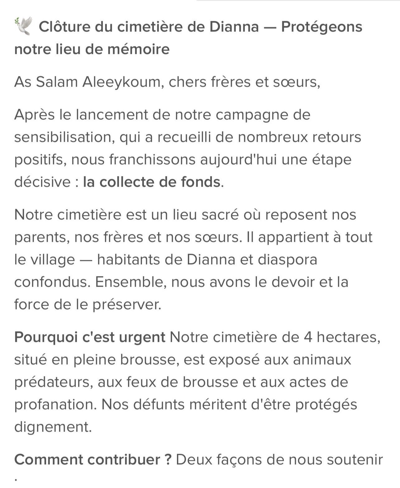 Clôture de meur cimetière de BOUNDOU Dianna
